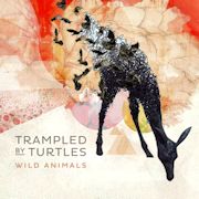 Trampled By Turtles: Wild Animals